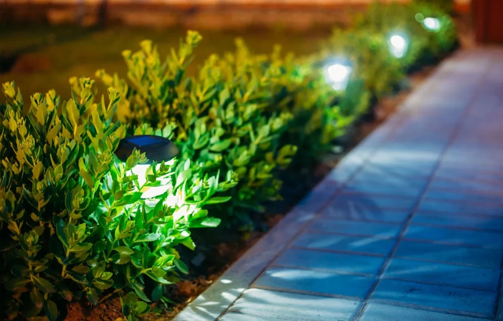 A beautifully illuminated outdoor space showcasing landscape lighting, enhancing the features of the garden and pathway at dusk.
