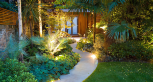 Beautifully lit garden with tropical plants and stone pathway at night.