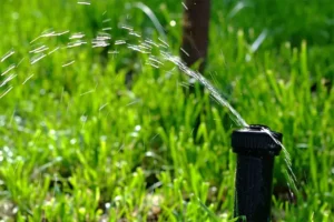 Close-up of a lawn sprinkler head spraying water on vibrant green grass, highlighting irrigation issues. Discover how to fix low water pressure caused by a faulty backflow device in Houston, TX