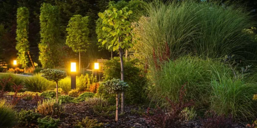 Beautifully landscaped garden with pathway lighting and a variety of decorative plants at night