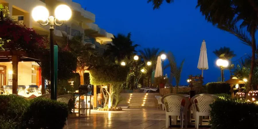 Outdoor dining area with decorative lighting in a garden setting at night