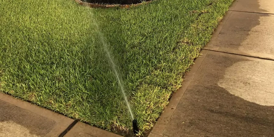 watering in a green lawn with sprinkler system